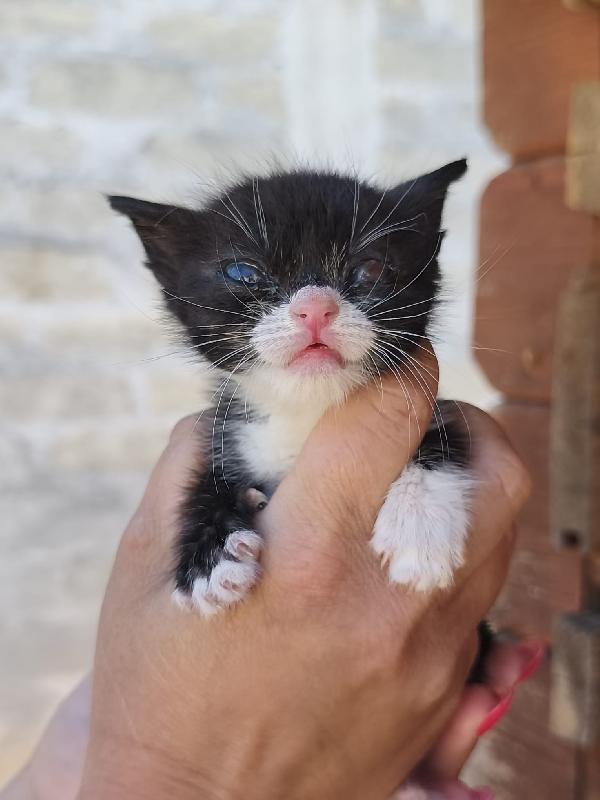May, la piccolissima Foto 2
